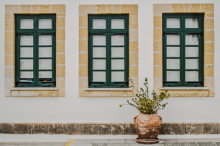 Kypros, Paralimni, skolen, Windows, tre, grønn, tradisjonelle