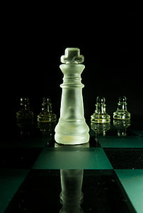escacs, peces, rei, peó, tauler d'escacs, joc, blanc