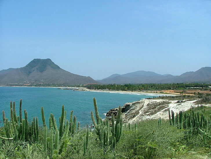 Papatya, ada, Karayipler, Kosta, Deniz, Margarita Adası