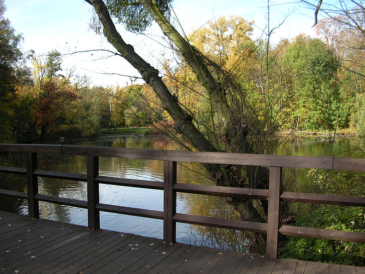 Park, jeseň, Most, jazero