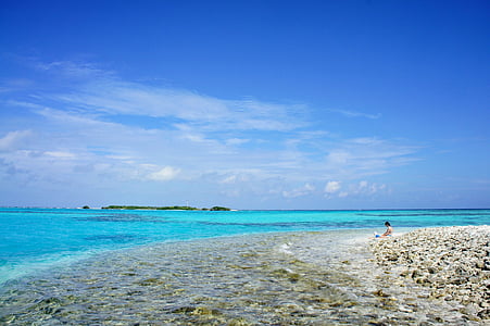 Maldives, Ilha, azul, água, estância, mar, praia
