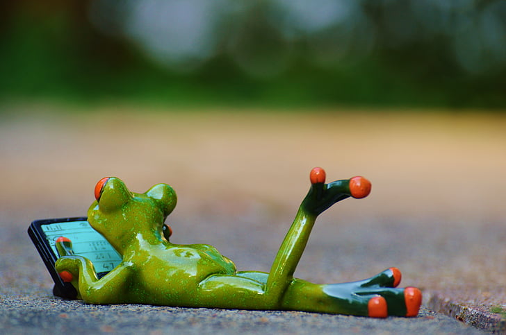 frog, computer, relaxed, figure, funny, rest, relaxation