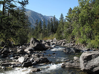 mountain, creek, hike, nature, water, stream, forest