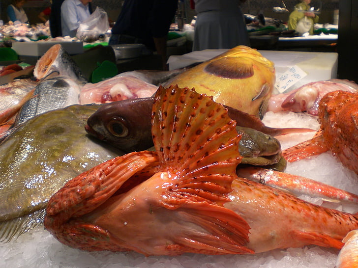 mercado de pescado, pescado, alimentos, mar, animales del mar, Frisch, mercado