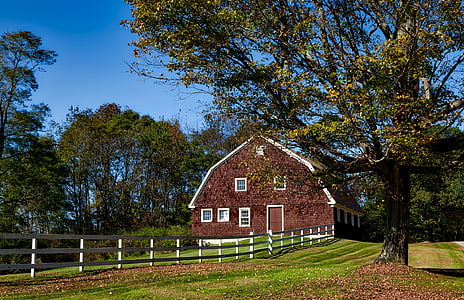 gudang, Connecticut, musim gugur, musim gugur, dedaunan, daun-daun jatuh, padang rumput