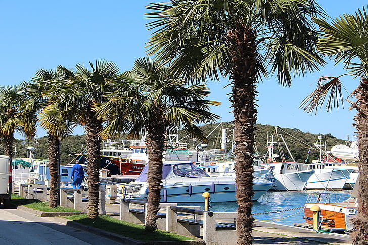 palmės, uosto promenada, laivų