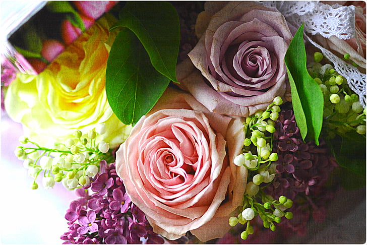 букет, Роза, liliac, Пролет, цветя