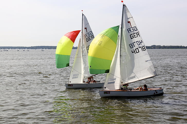 sail, sailing boat, spinnaker, regatta, ribnitz ut, boot, marina