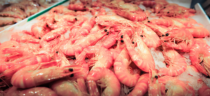 seafood, prawns, shrimps, gourmet, fresh, delicious, market