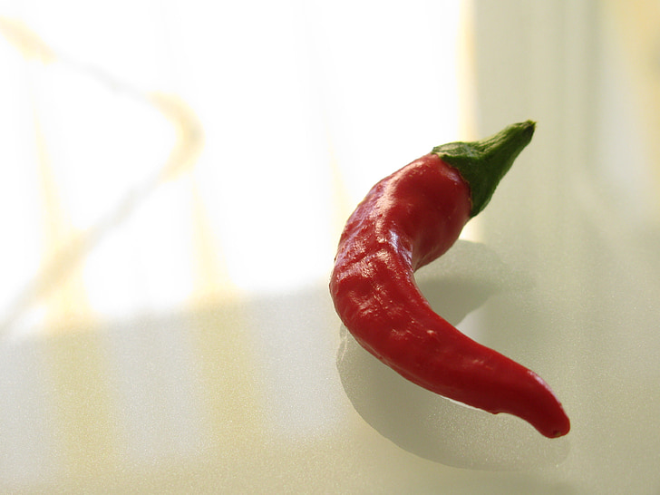 Chili pepper, pepř, červená, horká, koření, pikantní, zelenina