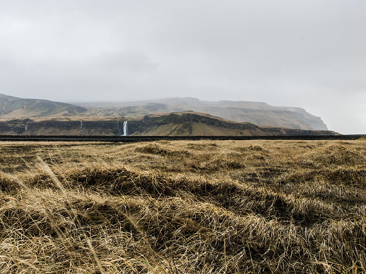 plains, waterfall, straws, nature, outdoor, landscape, iceland