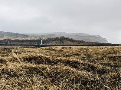 Ebenen, Wasserfall, Strohhalme, Natur, im freien, Landschaft, Island
