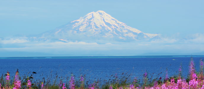 Alaska, insenatura di Cook, costiere, paesaggio, oceano, tempo libero, mare