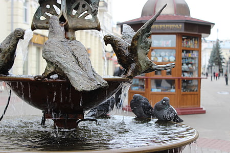 fountain, russia, water, drops, pigeons