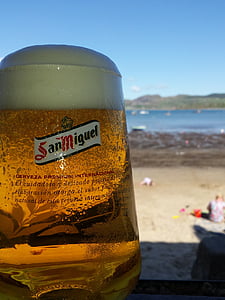 啤酒, 海滩, 饮料, 感冒, 酒精, 玻璃, 泡沫