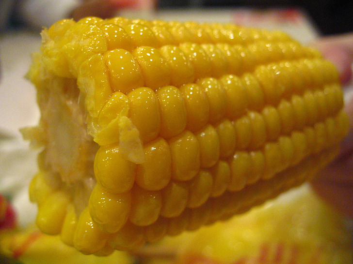corn, food, kfc corn, yellow