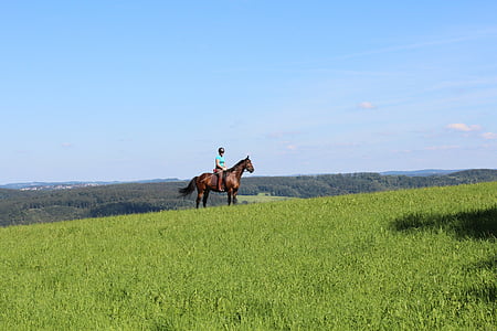 Ride, équitation aux Jeux, nature, cheval, paysage