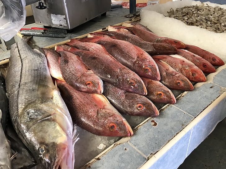 fiskmarknad, färsk, marknaden, fiske, mat, fisk, rå