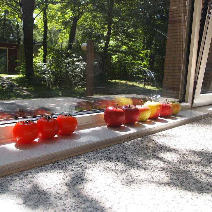 tomatoes, apples, window sill, window, summer, trees, green