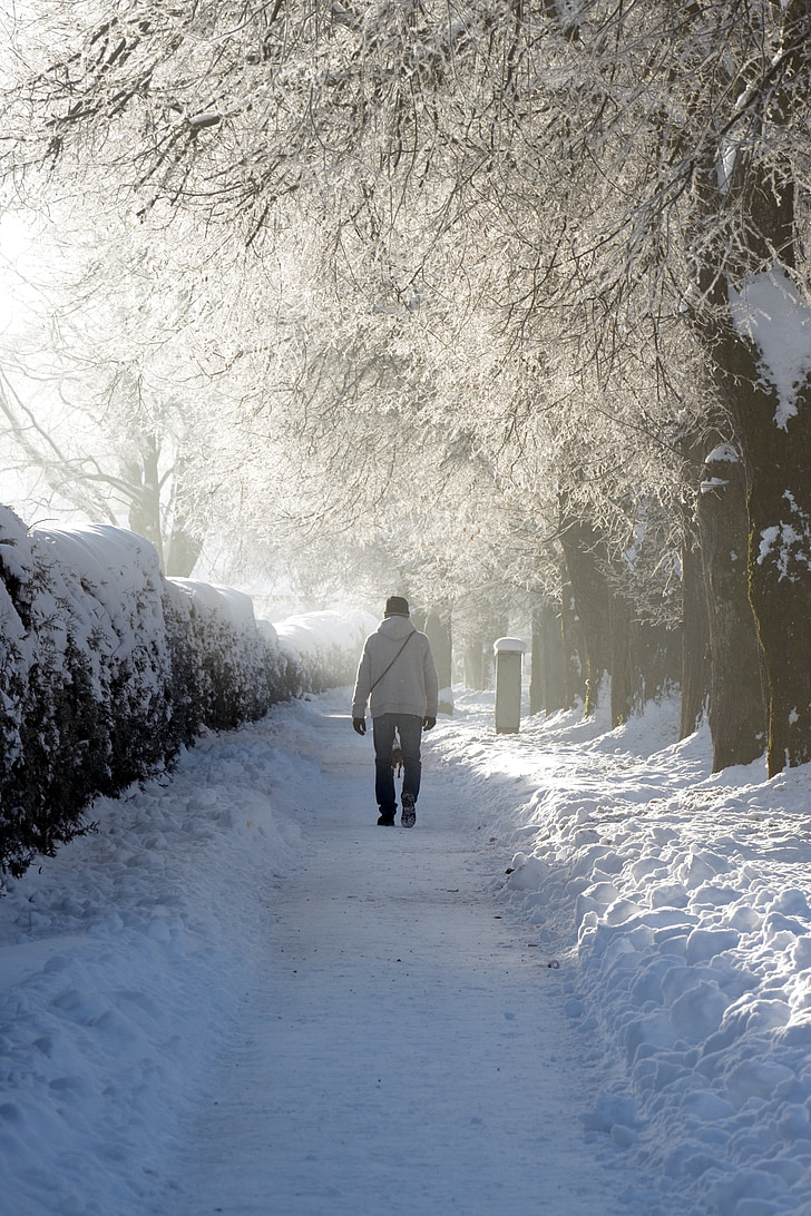 sneh, zimné, vzdialenosť, osoba, ľudské, mrazivé, chôdze