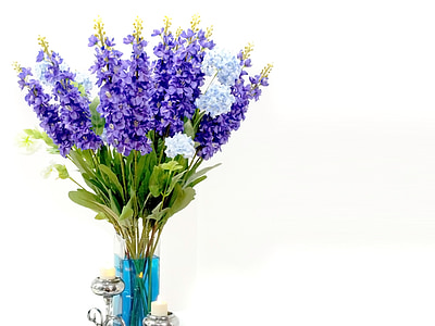 flower, flora, purple, bouquet, violet, green, blue