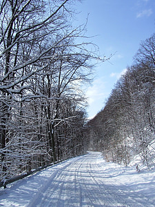 śnieg, zimowe, Bukowa Góra, zaśnieżonej drodze, światło słoneczne, lasu, Natura