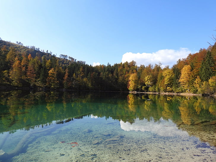 Bergsee, Les, voda, Rakousko, hory, stromy, podzim