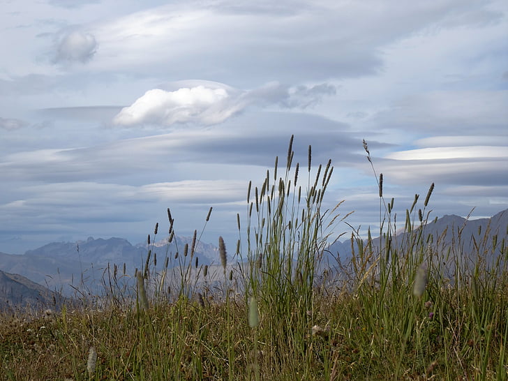 peisaj montan, nebun de plante aromatice, Southern Alpii, barcelonette, natura, iarba, scenics