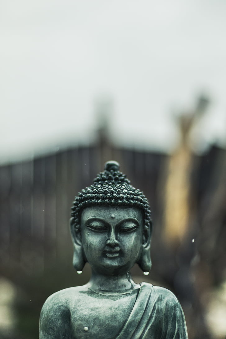 buddha, rain, buddhism, sacred, statue, religion, spiritual