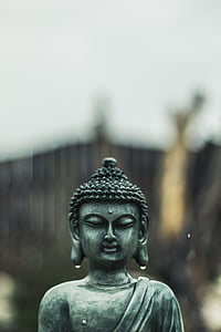 Buda, pluja, budisme, sagrat, estàtua, religió, espiritual