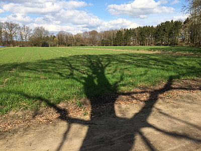 árbol, sombra, del pasto, primavera, Zelhem, naturaleza, hierba