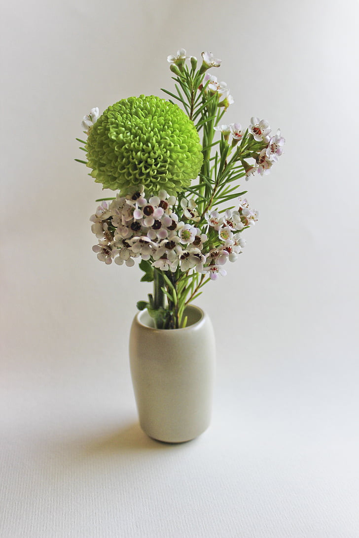 Chrysantheme, China wind, Zen, Blumen-arrangement, Vase, Anlage, Natur