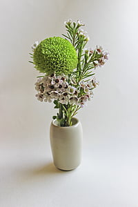 Chrysanthemum, Kina vind, Zen, blomst arrangement, vase, plante, natur