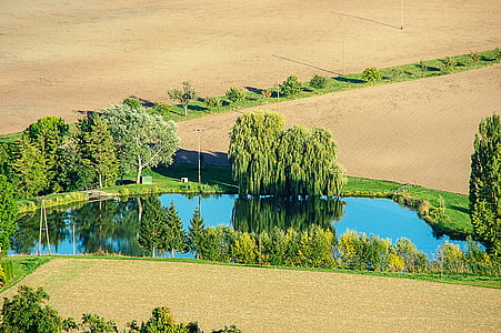 Teich, Bäume, Spiegelung, Felder, Landschaft, Ackerland, Natur