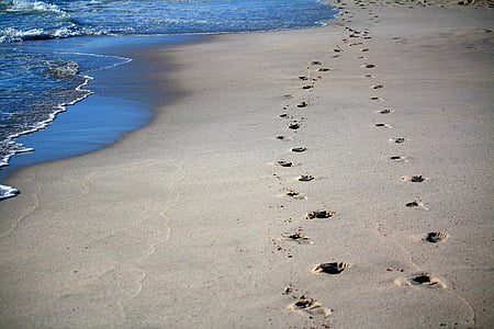 footprints, sand, sea, ocean, tracks in the sand, traces, beach