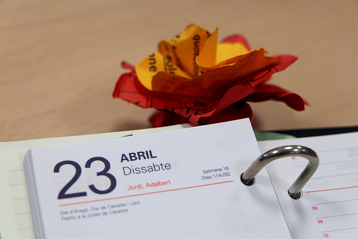 flor de papel, calendario, día, Oficina, papel, flor, flores