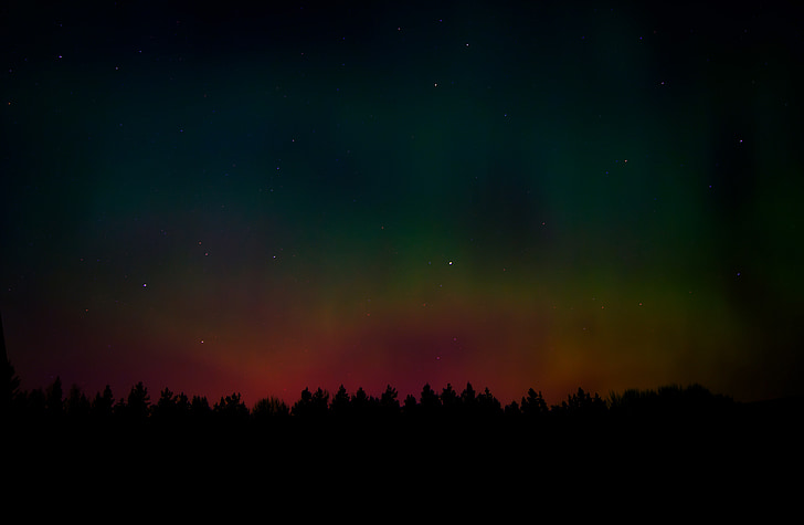 the northern lights, night, sky, the stars, colors, forest, silhouette
