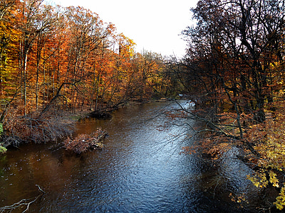 New jersey, Passaic river, faller, hösten, vatten, floden, Stream