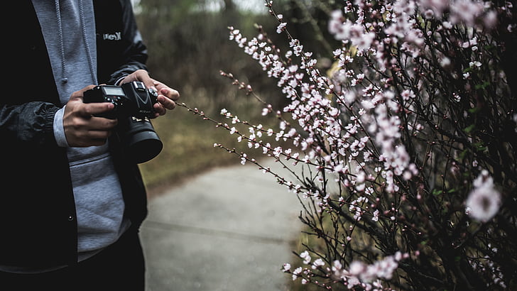 camera, flowers, person, photographer, plant