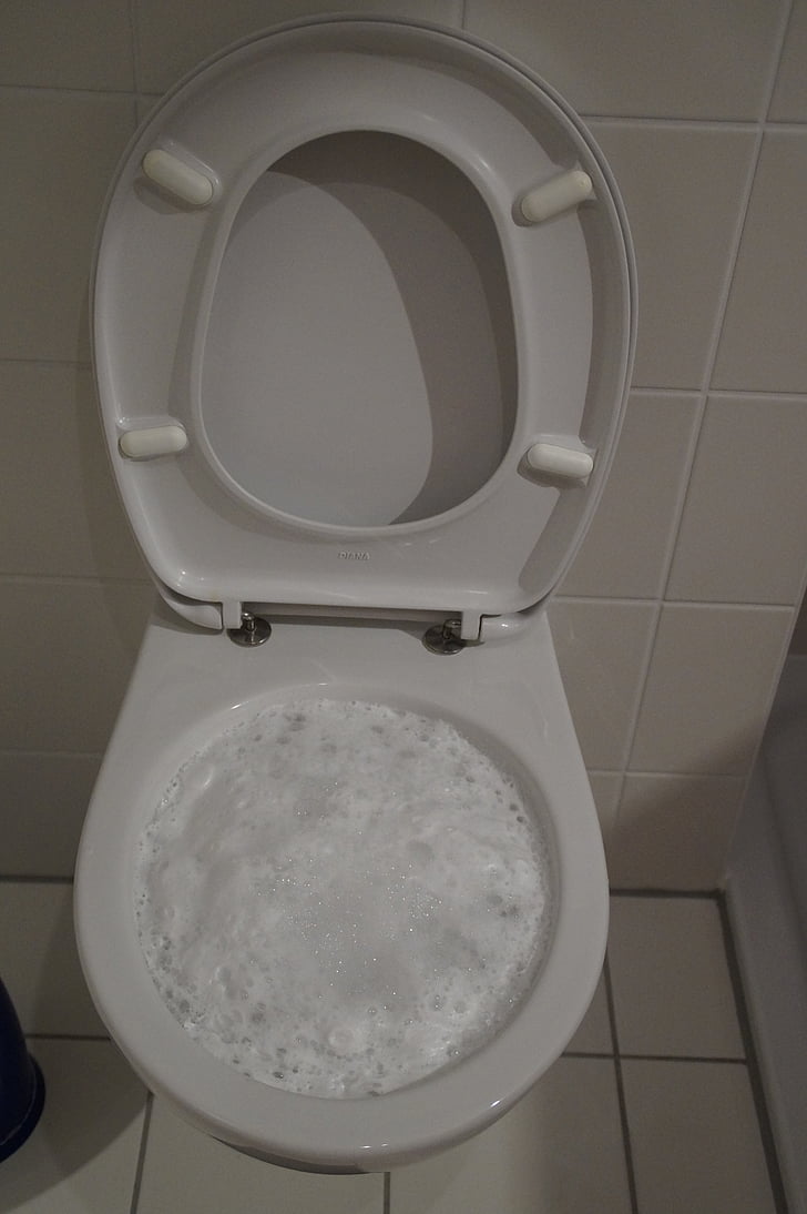 toalett, LoO, WC, Rengjør, skum, sanitaryblock