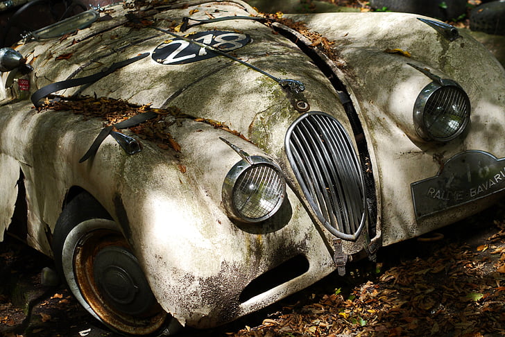 Jaguar, oldtimer, Auto, Classic, PKW, voertuig, historisch