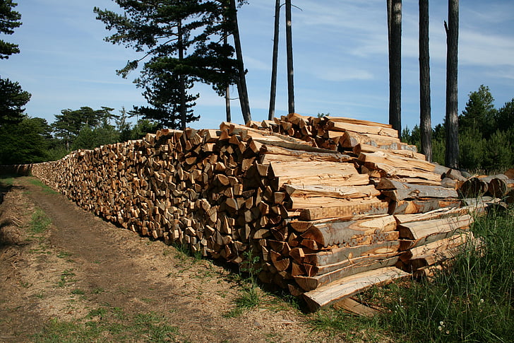 kayu bakar, Beech kayu bakar, holzstapel, hutan, kayu