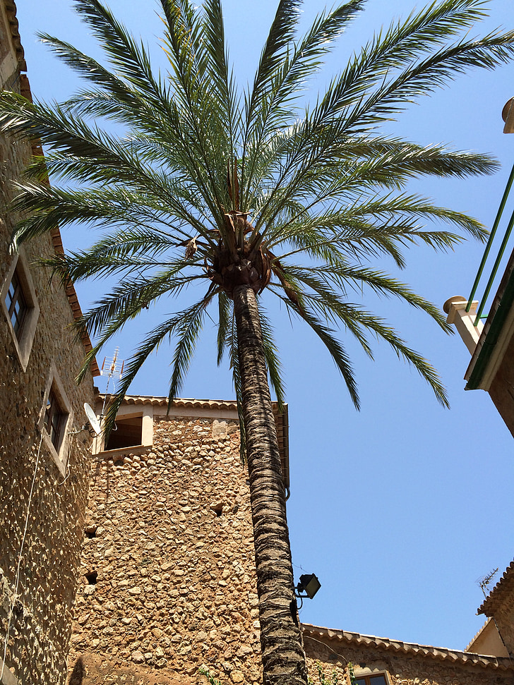 Mallorca, île, village, méditerranéenne, architecture
