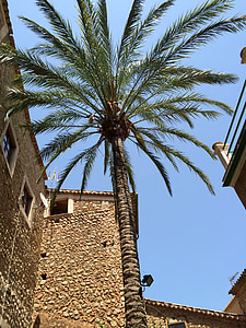 Mallorca, otok, vasi, sredozemski, arhitektura