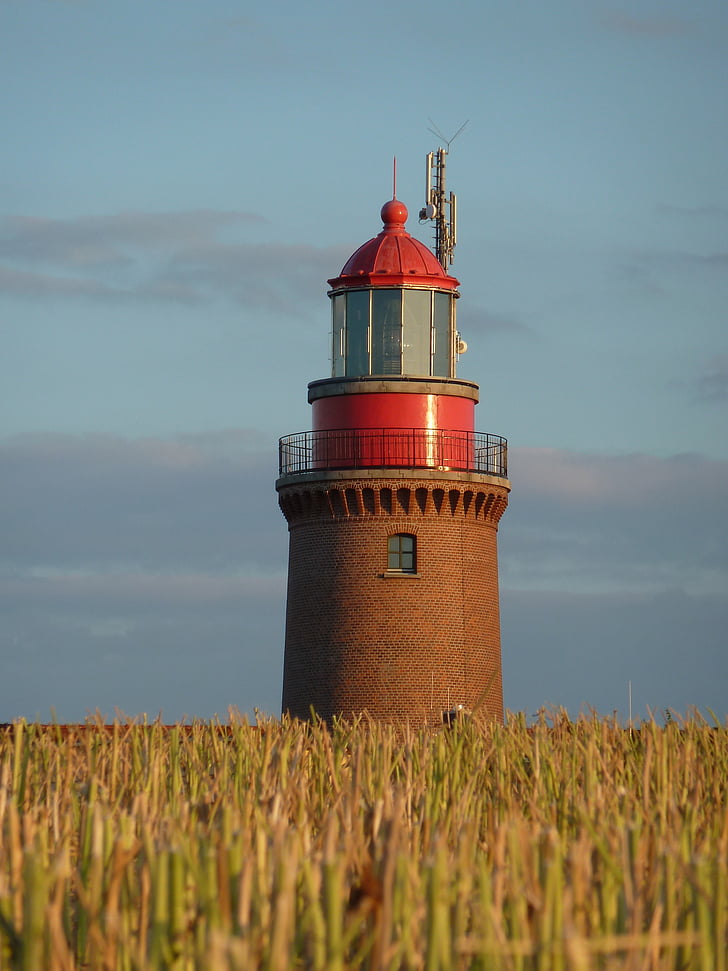 lighthouse, bastorf, cornfield, summer, coast, baltic sea, wheat field