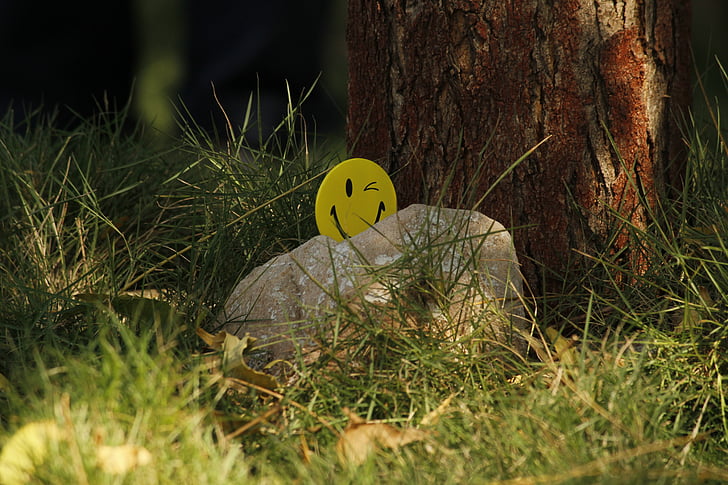 cười, màu vàng, cỏ, đá, khuôn mặt cười