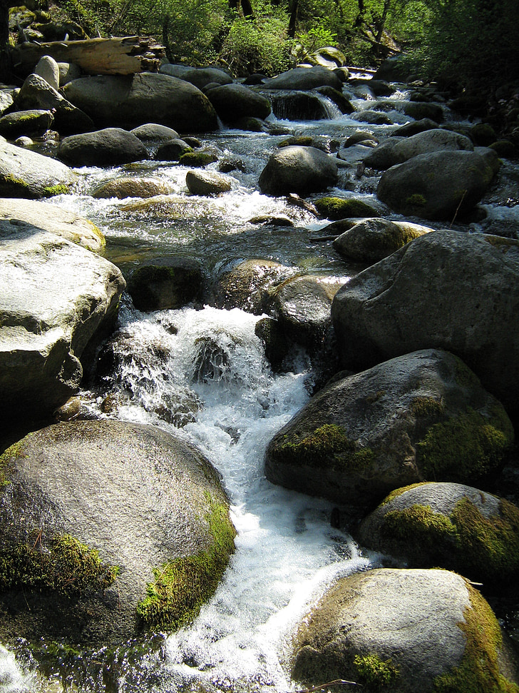 Stream, Creek, vatten, floden, naturen, landskap, Park
