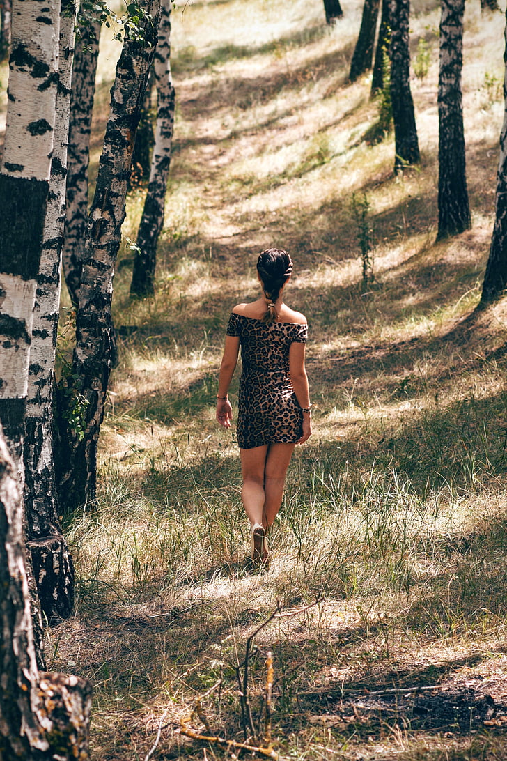 mulher, vista traseira, pessoa, floresta, floresta, caminhando, sozinho