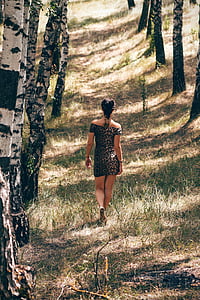 dona, Vista posterior, persona, bosc, boscos, caminant, sol