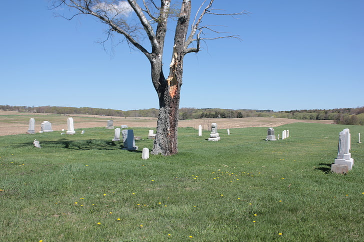 cemetery, tree, peaceful, graveyard, fall, sky, nature